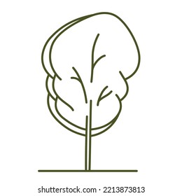Tree for architectural plans. Entourage design. Various trees, bushes, and shrubs, frontal view for the landscape design plan. Vector illustration.