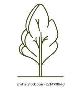 Tree for architectural plans. Entourage design. Various trees, bushes, and shrubs, frontal view for the landscape design plan. Vector illustration.