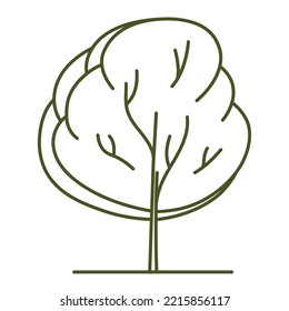 Tree for architectural plans. Entourage design. Various trees, bushes, and shrubs, frontal view for the landscape design plan. Vector illustration.