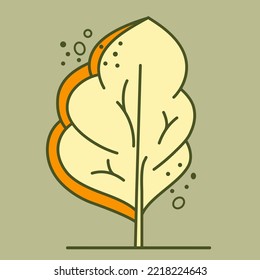 Tree for architectural plans. Entourage design. Various trees, bushes, and shrubs, frontal view for the landscape design plan. Vector illustration.