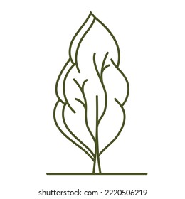 Tree for architectural plans. Entourage design. Various trees, bushes, and shrubs, frontal view for the landscape design plan. Vector illustration.