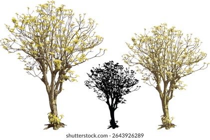 Árvore arte desenho Natureza Floresta