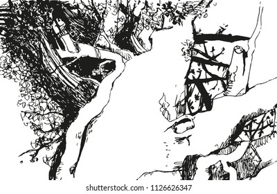 tree ash is made in black and white graphics