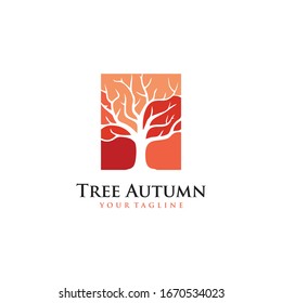 Tree Autumn Logo Vector and Templates