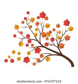 tree autumn season branch dry leaves foliage tall plant vector illustration