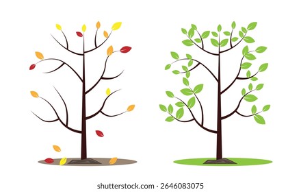 Tree in Autumn and Summer Isolated on White. Nature and plants with leaves concept vector art