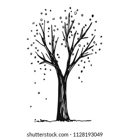 tree autumn vector illustration. sketch.