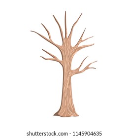 tree autumn without leafs icon
