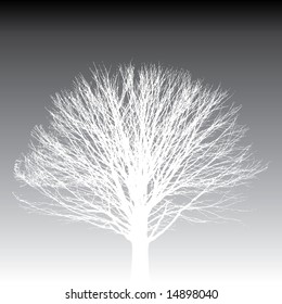 Tree background