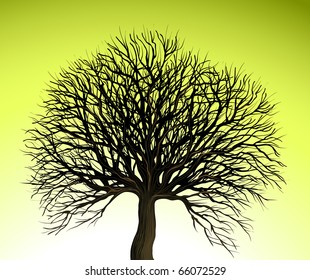 tree background