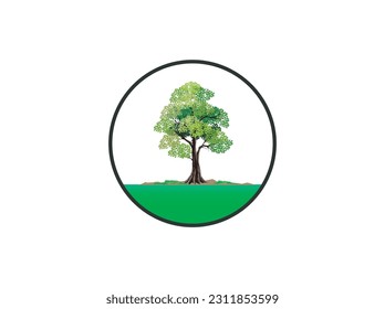 plantilla de logotipo de placa de árbol con marco circular, ilustraciones de árbol de teca