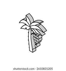 tree banana isometric icon vector. tree banana sign. isolated symbol illustration