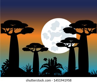 Tree baobab at moon in the night