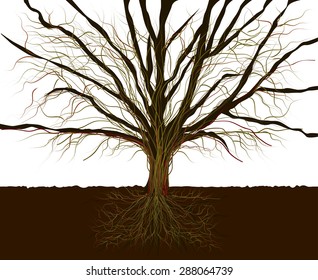 A tree with bare branches and roots. Vector