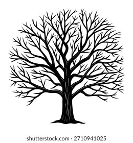 Tree with bare branches silhouette winter season