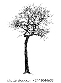 Tree bare deciduous silhouette crooked,single,seasonal, sketch, vector hand drawn illustration isolated on white