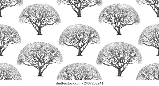 Tree bare deciduous silhouette seamless pattern hand drawn vector background wallpaper paper 