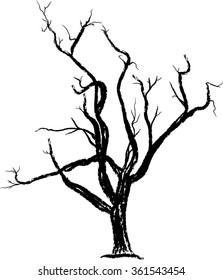 Tree / Bare Tree/ Tree Silhoutte