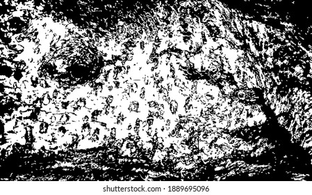 Tree bark with beautiful patterns for graphic design or wallpapers. Design elements. Background texture. Vector illustration.