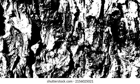 Tree bark with beautiful patterns for graphic design or wallpapers. Design elements. Old tree. Sunlight on bark. Background texture. Vector illustration.