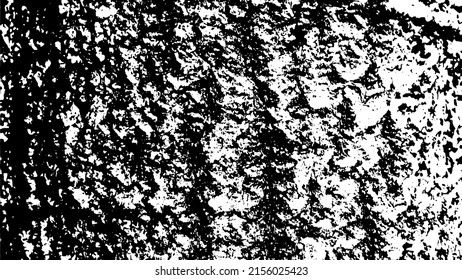 Tree bark with beautiful patterns for graphic design or wallpapers. Design elements. Old tree. Sunlight on bark. Background texture. Vector illustration.