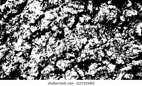 Tree bark with beautiful patterns for graphic design or wallpapers. Design elements. Old tree. Sunlight on bark. Background texture. Vector illustration.