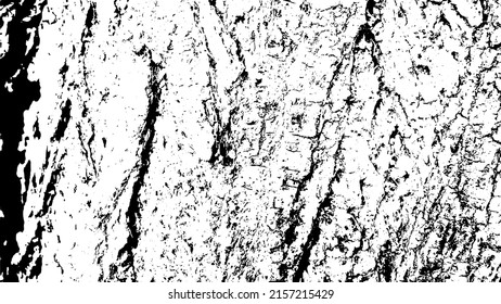 Bäume bellen mit schönen Mustern für Grafikdesign oder Bildschirmhintergründe. Designelemente. Alter Baum. Sonnenlicht auf der Rinde. Hintergrundstruktur. Vektorgrafik.
