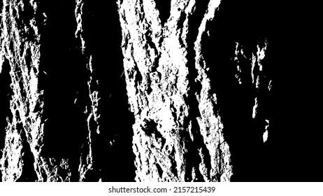 Tree bark with beautiful patterns for graphic design or wallpapers. Design elements. Old tree. Sunlight on bark. Background texture. Vector illustration.