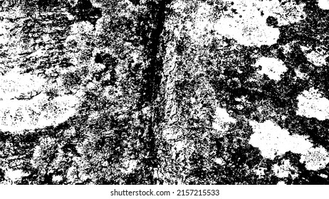 Tree bark with beautiful patterns for graphic design or wallpapers. Design elements. Old tree. Sunlight on bark. Background texture. Vector illustration.