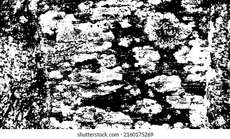 Tree bark with beautiful patterns for graphic design or wallpapers. Design elements. Old tree. Sunlight on bark. Background texture. Vector illustration.