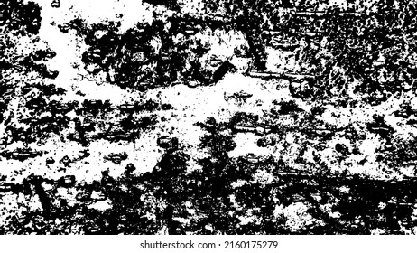 Tree bark with beautiful patterns for graphic design or wallpapers. Design elements. Old tree. Sunlight on bark. Background texture. Vector illustration.