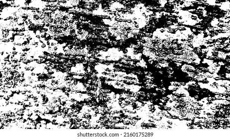 Tree bark with beautiful patterns for graphic design or wallpapers. Design elements. Old tree. Sunlight on bark. Background texture. Vector illustration.