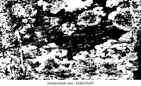 Tree bark with beautiful patterns for graphic design or wallpapers. Design elements. Old tree. Sunlight on bark. Background texture. Vector illustration.