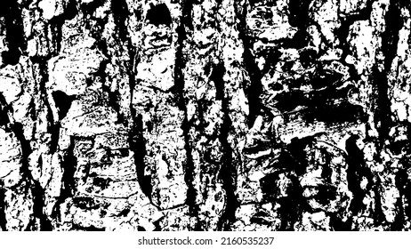 Tree bark with beautiful patterns for graphic design or wallpapers. Design elements. Old tree. Sunlight on bark. Background texture. Vector illustration.