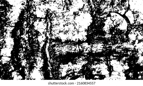 Tree bark with beautiful patterns for graphic design or wallpapers. Design elements. Old tree. Sunlight on bark. Background texture. Vector illustration.