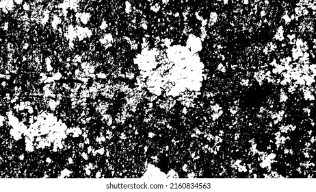 Tree bark with beautiful patterns for graphic design or wallpapers. Design elements. Old tree. Sunlight on bark. Background texture. Vector illustration.