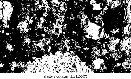 Tree bark with beautiful patterns for graphic design or wallpapers. Design elements. Old tree. Sunlight on bark. Background texture. Vector illustration.