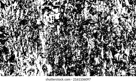 Tree bark with beautiful patterns for graphic design or wallpapers. Design elements. Old tree. Sunlight on bark. Background texture. Vector illustration.