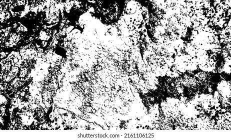 Tree bark with beautiful patterns for graphic design or wallpapers. Design elements. Old tree. Sunlight on bark. Background texture. Vector illustration.