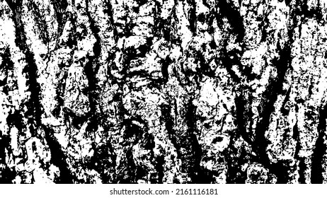 Tree bark with beautiful patterns for graphic design or wallpapers. Design elements. Old tree. Sunlight on bark. Background texture. Vector illustration.