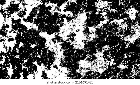 Tree bark with beautiful patterns for graphic design or wallpapers. Design elements. Old tree. Sunlight on bark. Background texture. Vector illustration.