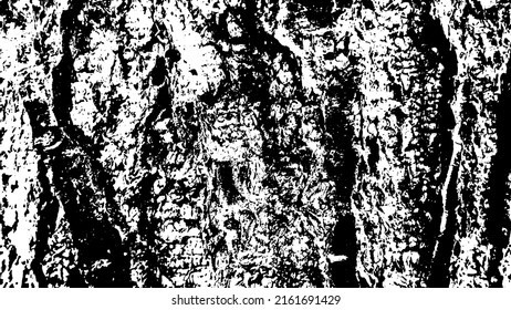 Tree bark with beautiful patterns for graphic design or wallpapers. Design elements. Old tree. Sunlight on bark. Background texture. Vector illustration.