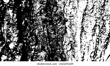 Bäume bellen mit schönen Mustern für Grafikdesign oder Bildschirmhintergründe. Designelemente. Alter Baum. Sonnenlicht auf der Rinde. Hintergrundstruktur. Vektorgrafik.