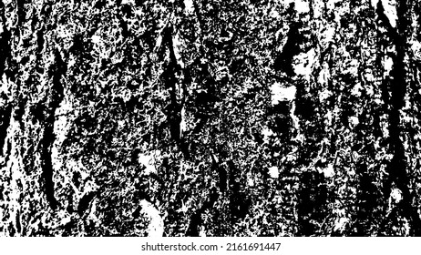 Tree bark with beautiful patterns for graphic design or wallpapers. Design elements. Old tree. Sunlight on bark. Background texture. Vector illustration.