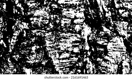 Tree bark with beautiful patterns for graphic design or wallpapers. Design elements. Old tree. Sunlight on bark. Background texture. Vector illustration.
