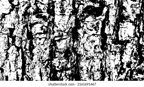 Tree bark with beautiful patterns for graphic design or wallpapers. Design elements. Old tree. Sunlight on bark. Background texture. Vector illustration.