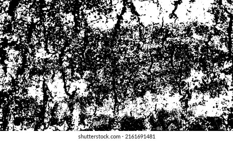 Tree bark with beautiful patterns for graphic design or wallpapers. Design elements. Old tree. Sunlight on bark. Background texture. Vector illustration.