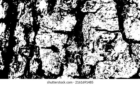 Tree bark with beautiful patterns for graphic design or wallpapers. Design elements. Old tree. Sunlight on bark. Background texture. Vector illustration.