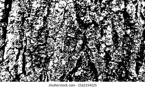 Corteza de árbol con hermosos patrones para diseño gráfico o papel pintado. Elementos de diseño. Árbol viejo. La luz del sol en la corteza. Textura de fondo. Ilustración vectorial.