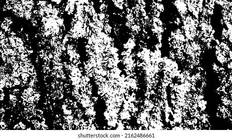 Tree bark with beautiful patterns for graphic design or wallpapers. Design elements. Old tree. Sunlight on bark. Background texture. Vector illustration.